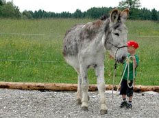 Kinderkurs Horsemanship mit Esel